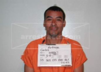 Carlos D Artiaga