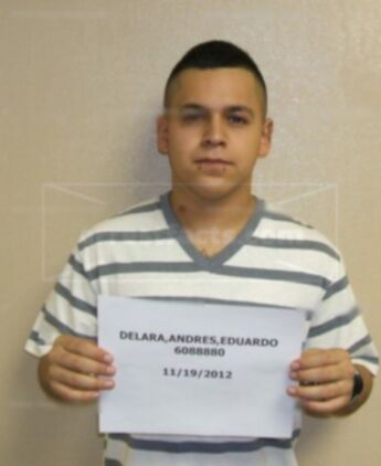 Andres Eduardo Delara
