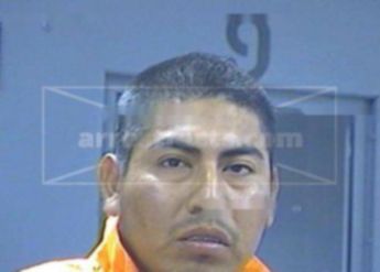 Hector Zamudio Ortela