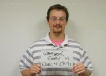 Gary H Watson