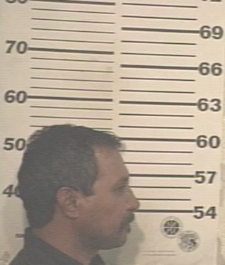 Policarpo Garza Quintanilla