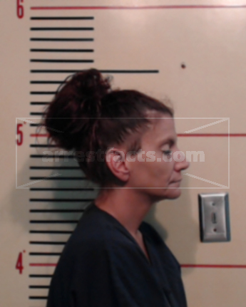 Marcy Lanelle Brewer Mciver
