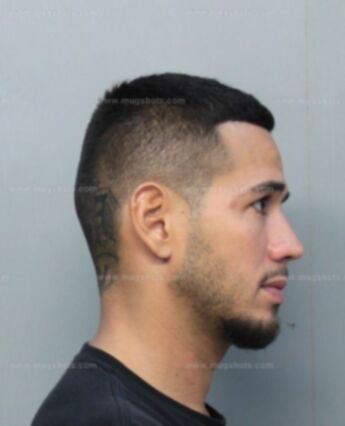 Michael De Lima