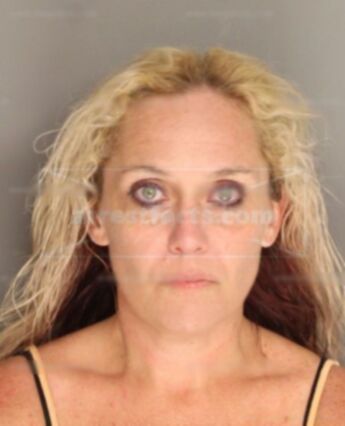 Dawn Ann Quinlan