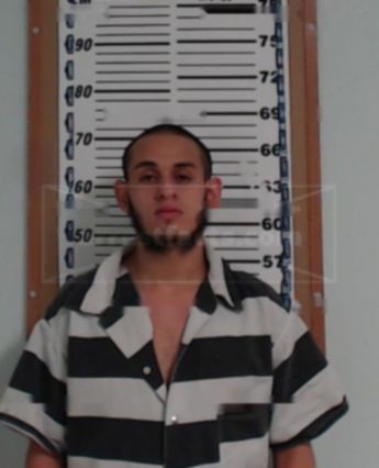 Nelson Villegas-Aguilar