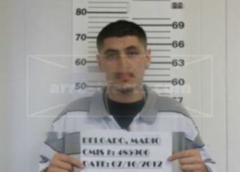 Mario L. Delgado