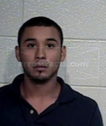 Francisco Martin Hernandez Barrientos