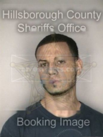 Daniel Mesa Jr.