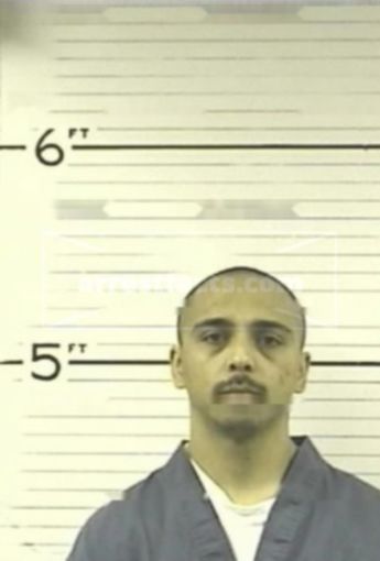 Anthony M Ortiz