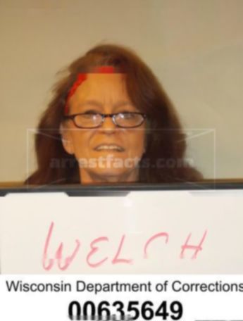 Jill M Welch