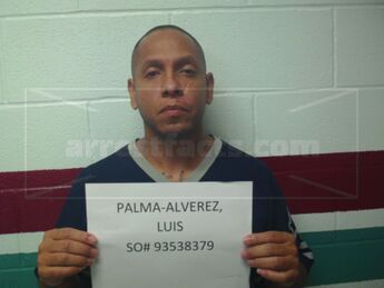 Luis Palma-Alvarez