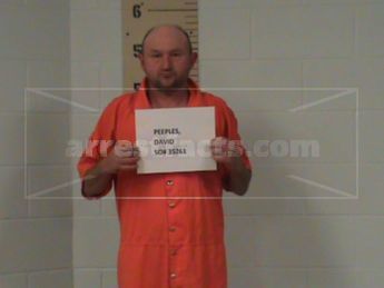 David Wayne Peeples