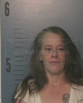 Terri Ann Spykes