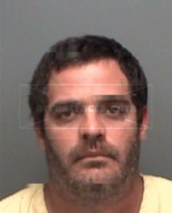 Mark Lewis Zamparelli