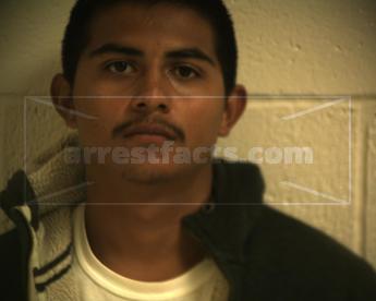 Luis Alberto Flores Montelongo