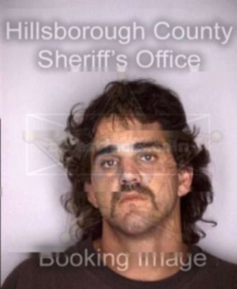 Mitchell Paige Brook