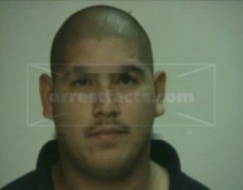 Robert Reyna