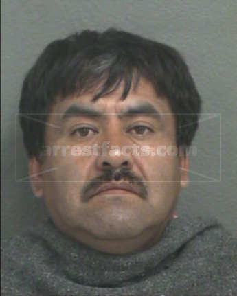 Javier P Aguilar