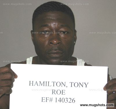 Tony Roe Hamilton