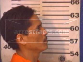 Javier Figueroa Najera