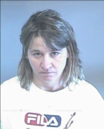Deanna Michelle Swink