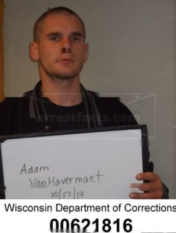 Adam P Vanhavermaet