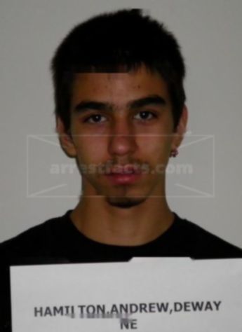 Andrew Dewayne Hamilton