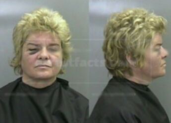 Cheryl Ann Ryan