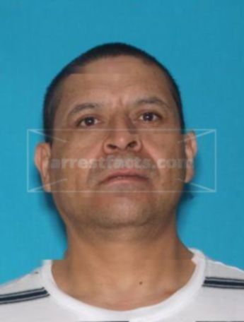 Jose P Carrillo-Mendez