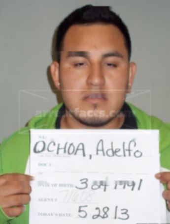 Adelfo Ochoa
