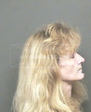 Robin Michelle Stenstrom