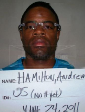 Andrew B Hamilton