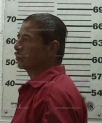 Andrew P Gutierrez