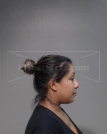Luz Maria Solis Bazan