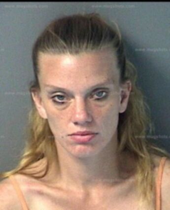 Cynthia Elaine Finney