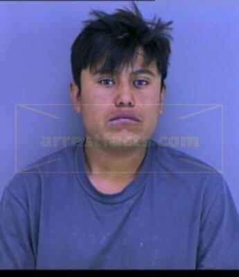 Jose Michael Candelario