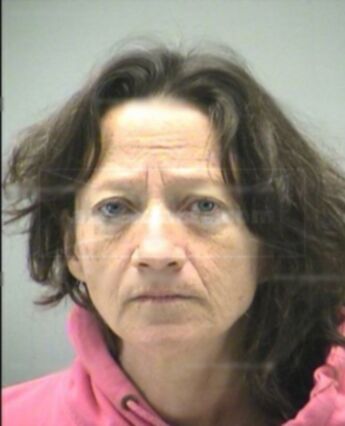 Toni Lee Wehner
