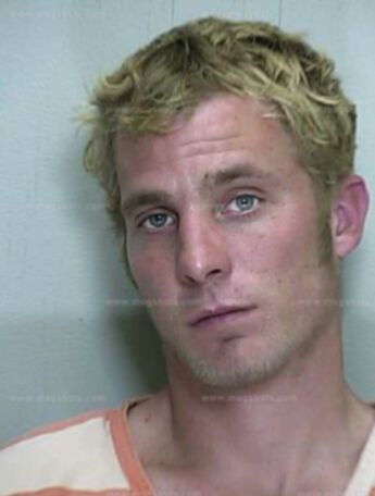 Milo T Holden