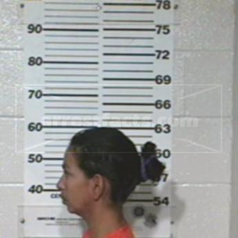 Adriana Hinojosa Lara