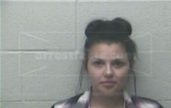 Mercedes Ann Crissler