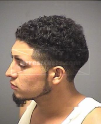Elmer Serafin Rodriguez-Martinez