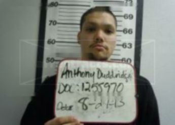 Anthony S Duddridge