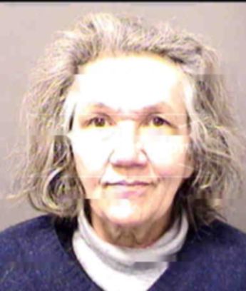 Mary Virginia Gray