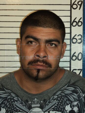 Cesar Armando Alverado-Garcia