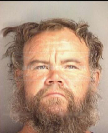 Bear Collins