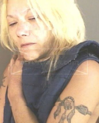 Terri Anne Starr