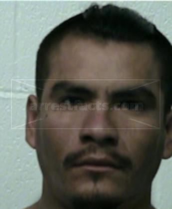 Jose Torres Flores