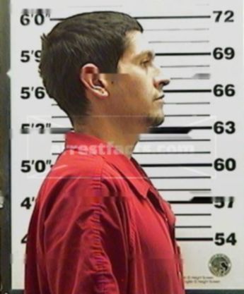 Rudy M Vigil