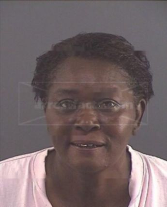 Shelley J Williams