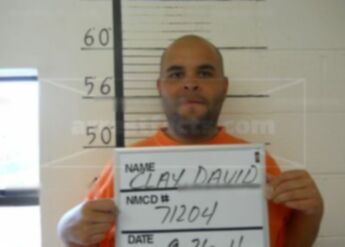 David Gavin Clay